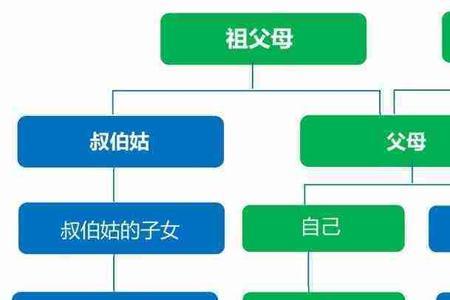 主要社会关系可以不填兄妹吗