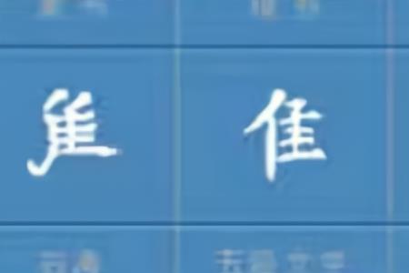 带主字旁的字和什么有关