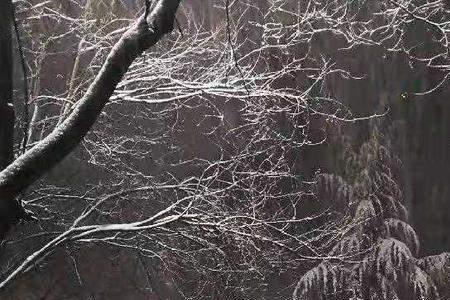 河南为什么九月飘雪