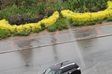 久雨逢甘露什么意思