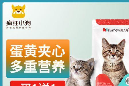 500g小猫咪一天吃多少