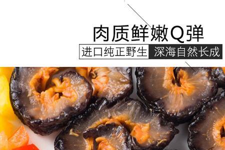 加拿大海参能用高压锅吗