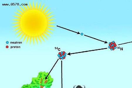 碳14化学反应