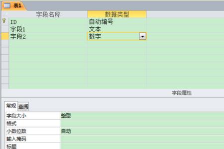 access字段属性的设置