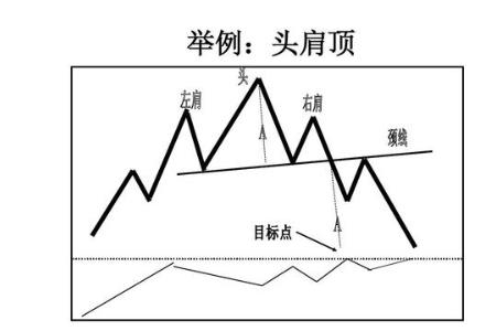 基本形态是什么意思