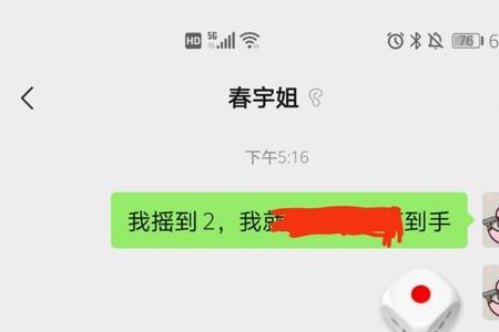 摇塞子的摘是什么意思