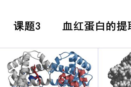 血红蛋白 颜色