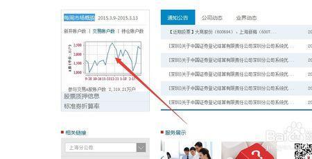 个人股票账户查询官网