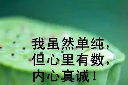 单纯数字有意义吗