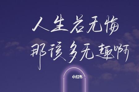 人生若无悔该多无趣什么意思