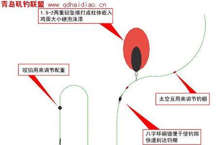 钓鲈鱼咬铅的位置