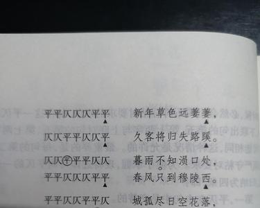 飞是平还是仄