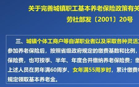 灵活就业参保试运行是什么意思