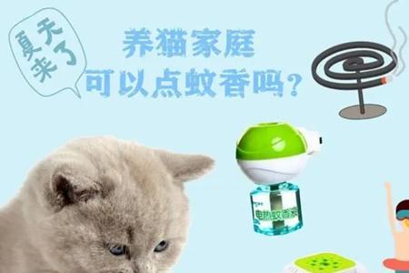 猫吃蚂蚁能消化吗