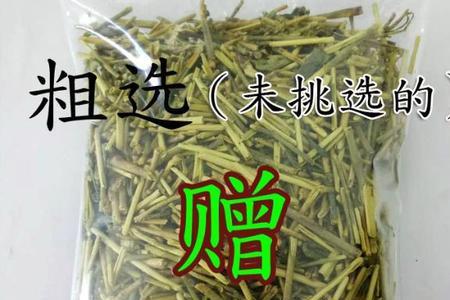 一根茶叶梗可以戴多久