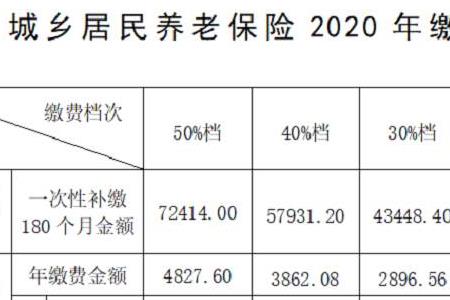 各种保险的缴纳比例是多少