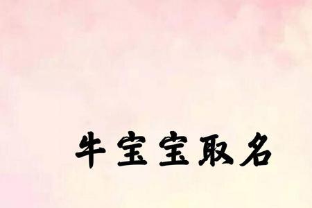 曦羽名字的含义