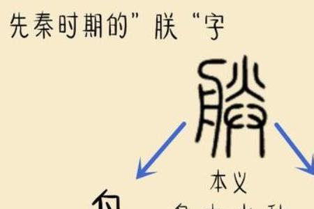 向字拆解