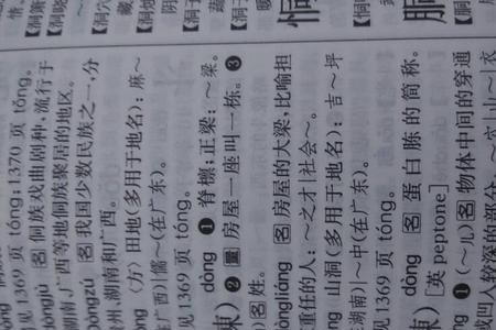 独角兽的读能组什么词