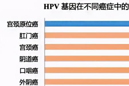 huv是哪个国家的