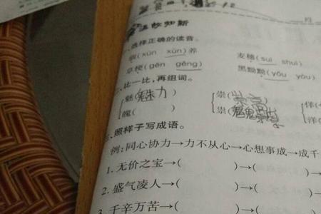 将信将疑照样子写词语