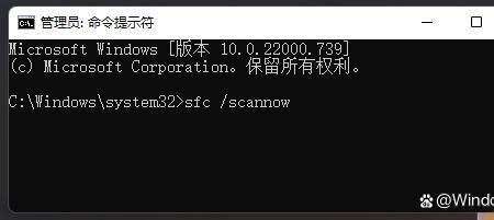 win11玩永杰卡怎么解决