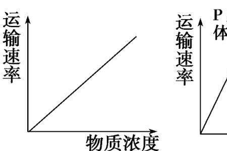 主动扩散和自由扩散的区别