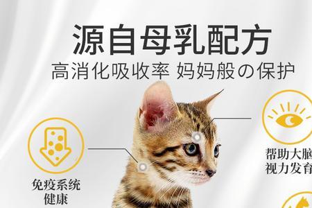 喂奶的猫可以吃猫粮吗