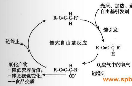 酚的氧化反应包括什么