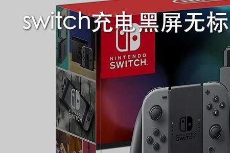 switch注入器充电多久