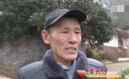 独子不结婚罪过多大