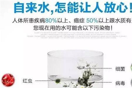 净水器净化出的水能直接交花吗