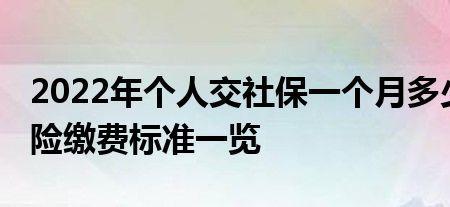 2022年社保缴费网上怎么缴不了