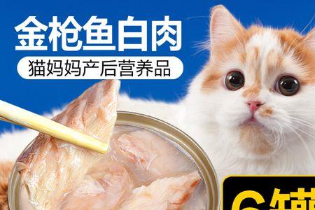 猫妈妈哺乳期哼哼唧唧怎么回事