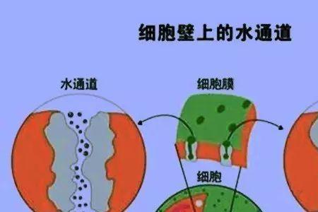 水分子是纳米级别吗