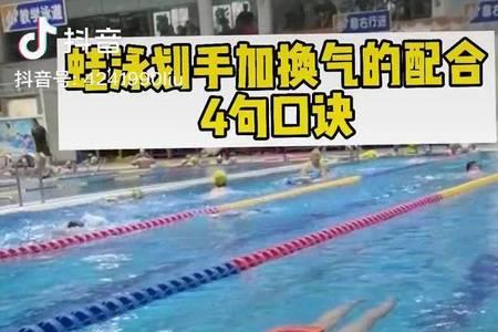 蛙泳抬头换气发力点