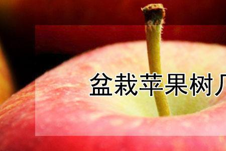 苹果切开里面的核为什么会发芽