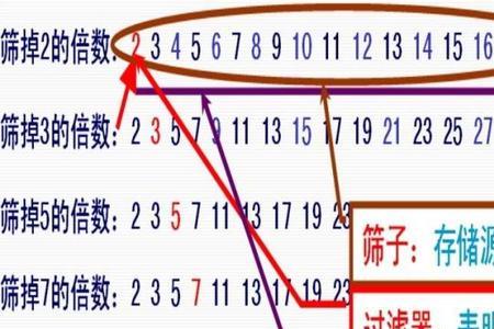 素数数是什么意思