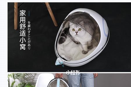 猫咪可以一晚上放猫包吗