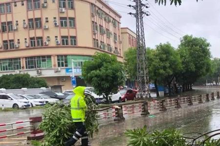 疾风劲雨是什么意思