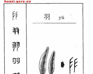 羽字头的字有哪些