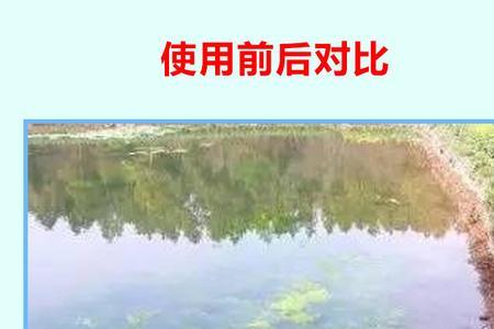 虾池青苔最怕什么肥料