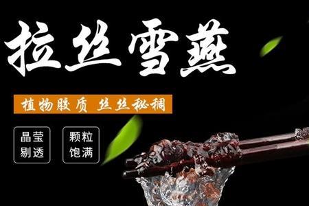 缅甸雪燕和印度雪燕有什么区别