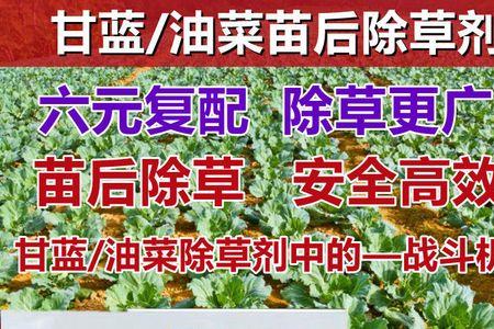 罗卜田除草剂禾阔双除解毒药