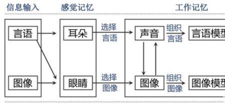 心理学中的五种图式理论