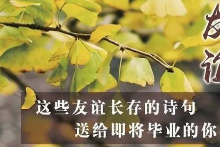 关于四人友谊的诗句