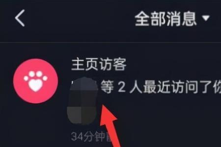 抖音访客记录仅可见是什么意思