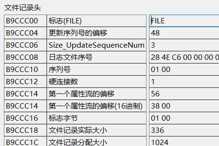 正文由什么组成