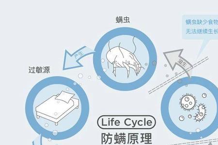 防螨面料有用吗