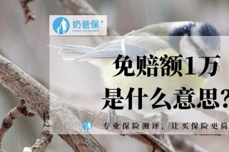 保险6万免赔是什么意思